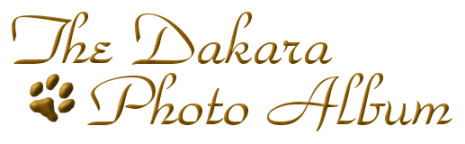 The Dakara Photo Album